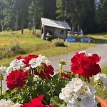 Pensjonat Garni Haus Sonnblick Bad Kleinkirchheim