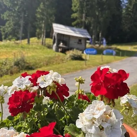 Penzion Haus Sonnblick Bad Kleinkirchheim